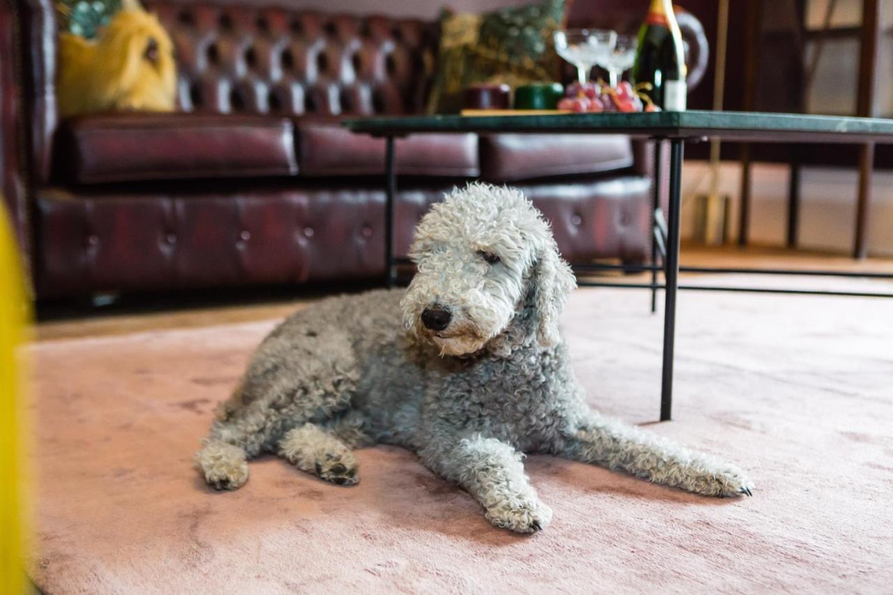 Skeldale House 'all Creatures Great & Small' By Maison Parfaite - Luxury & In Askrigg, Yorkshire Dales 3* Askrigg